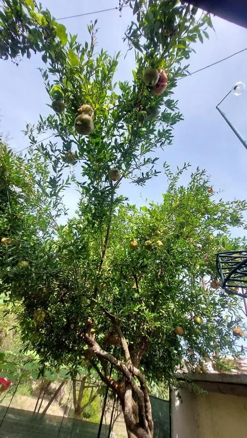 Luxuszelt Relax Camping Gjirokastër