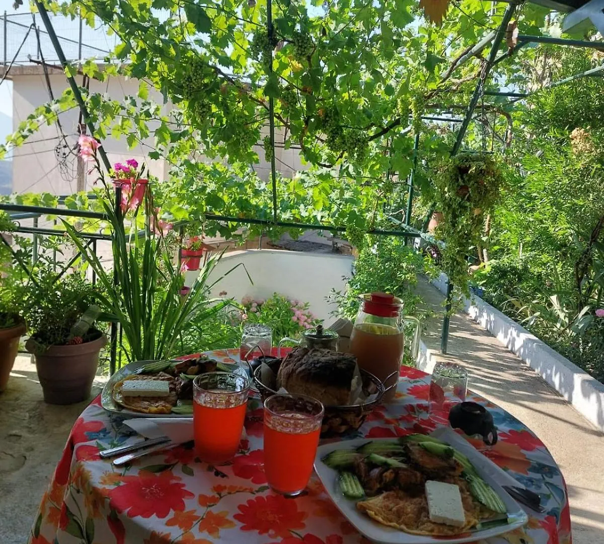 Relax Camping Gjirokastër Luxuszelt